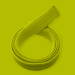 Lean Six Sigma for Green Belts: Foundations