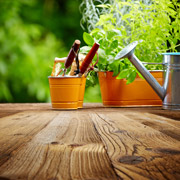 Landscaping