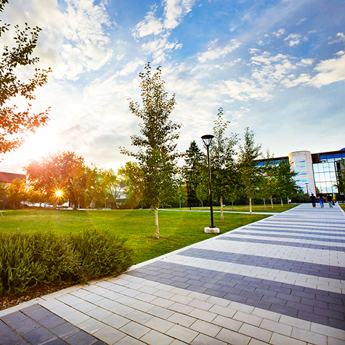 Green spaces near the Oval and TFDL